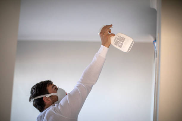 Best Insurance-Related Mold Remediation in Southgate, MI
