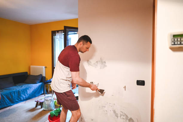 Best Commercial Mold Remediation in Southgate, MI